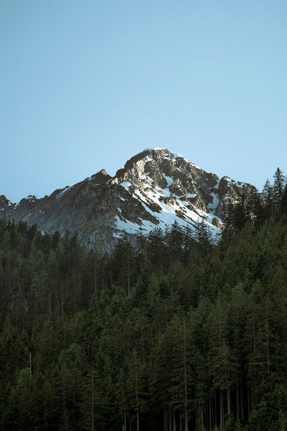 Contact Feral Thorn Empire